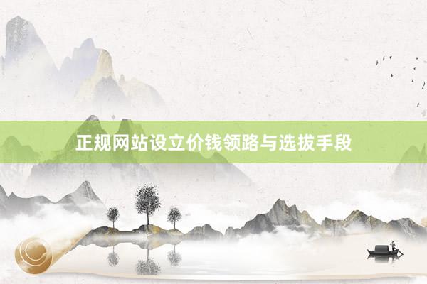 正规网站设立价钱领路与选拔手段