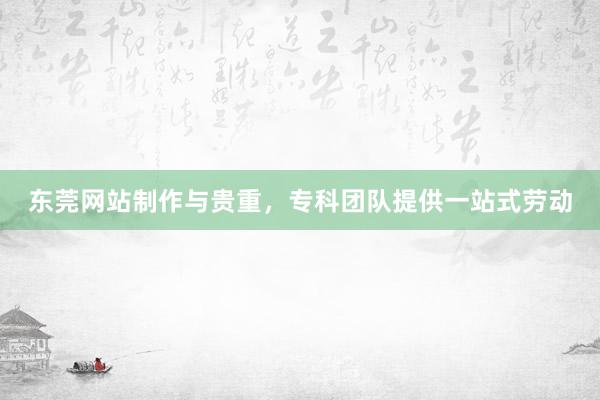 东莞网站制作与贵重，专科团队提供一站式劳动