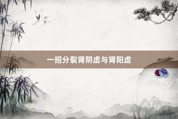 一招分裂肾阴虚与肾阳虚