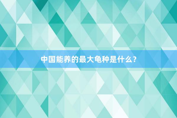 中国能养的最大龟种是什么？